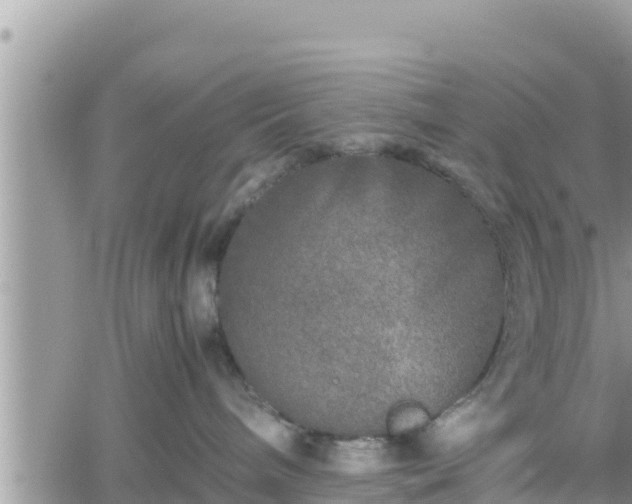 X0000062170240200512121248