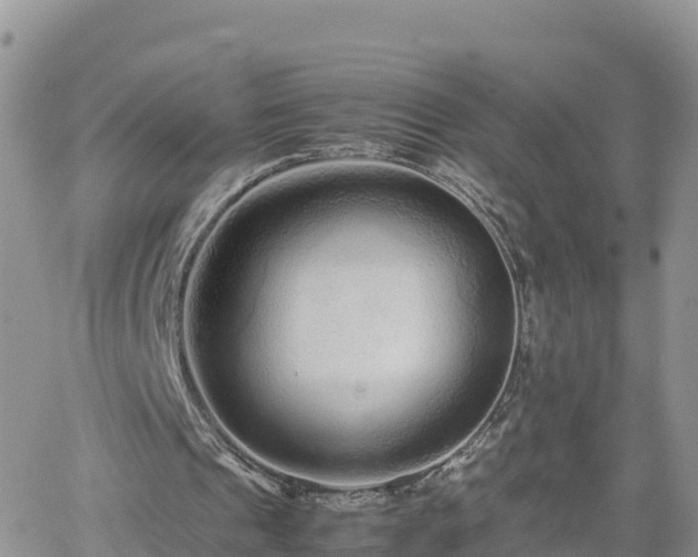 X0000062170241200512121247