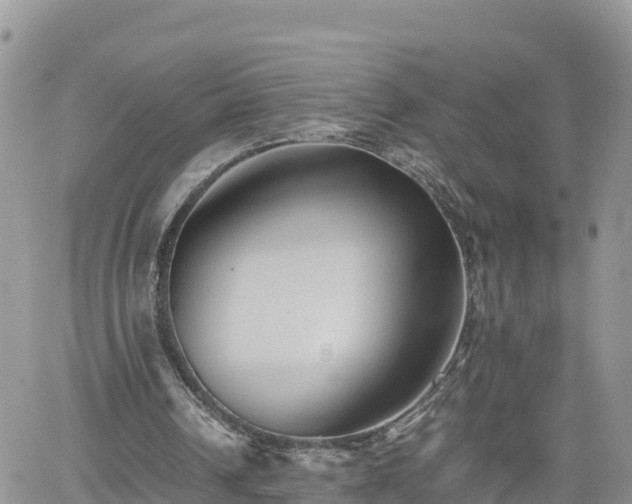 X0000062170242200512121247