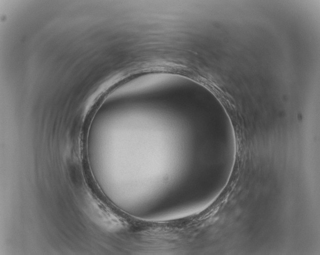 X0000062170244200512121247