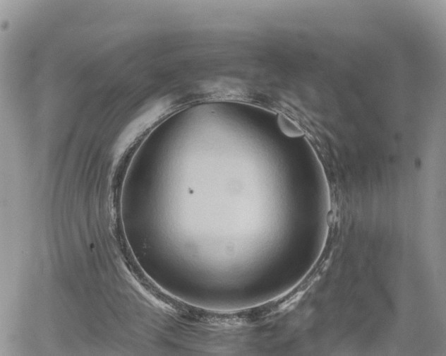 X0000062170245200512121247