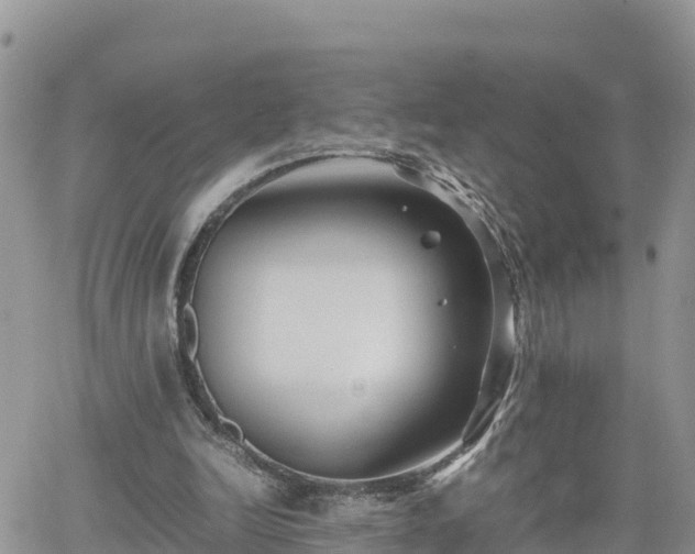 X0000062170246200512121247