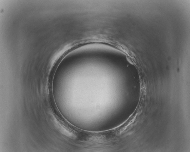 X0000062170248200512121247