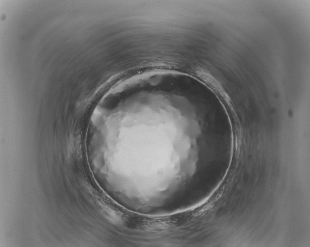 X0000062170249200512121248