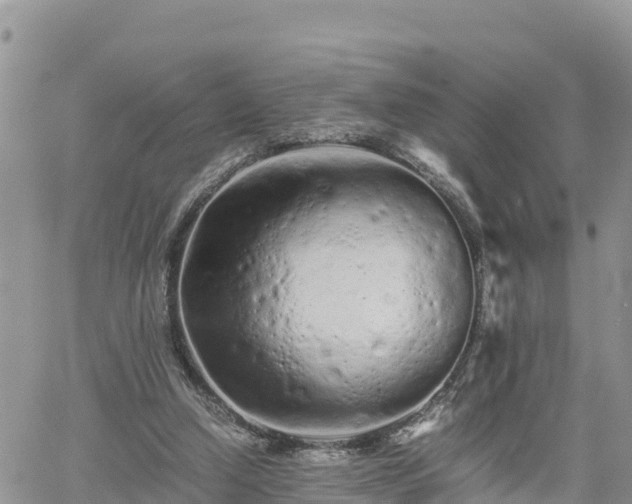 X0000062170250200512121248