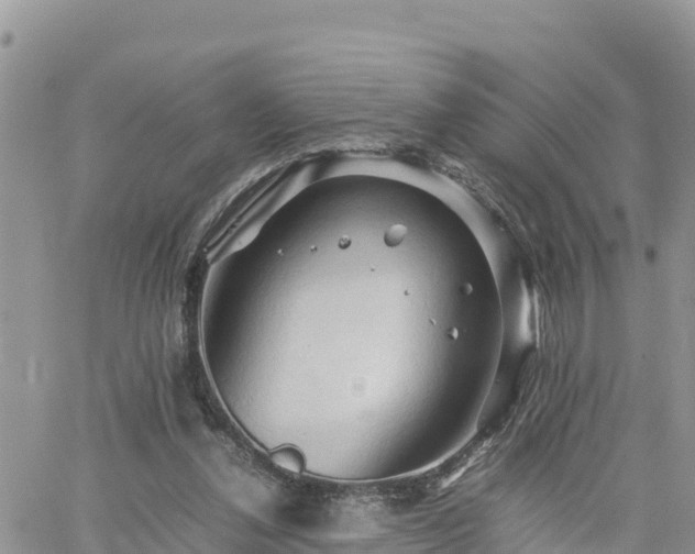 X0000062170252200512121248