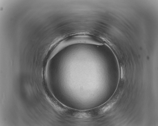 X0000062170253200512121248