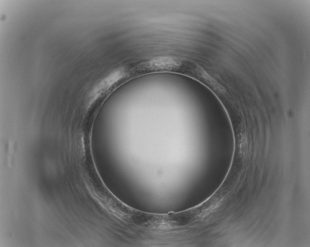 X0000062170254200512121248