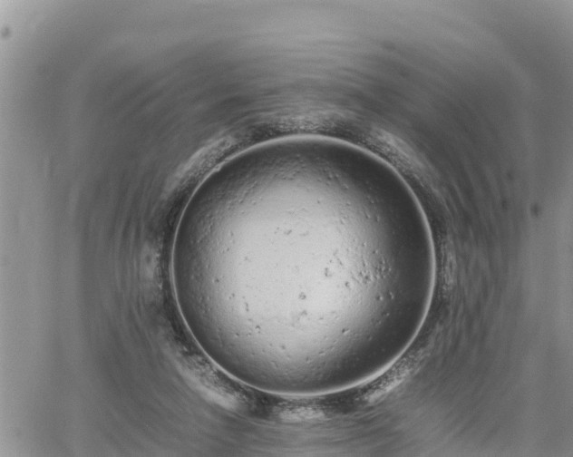 X0000062170258200512121248