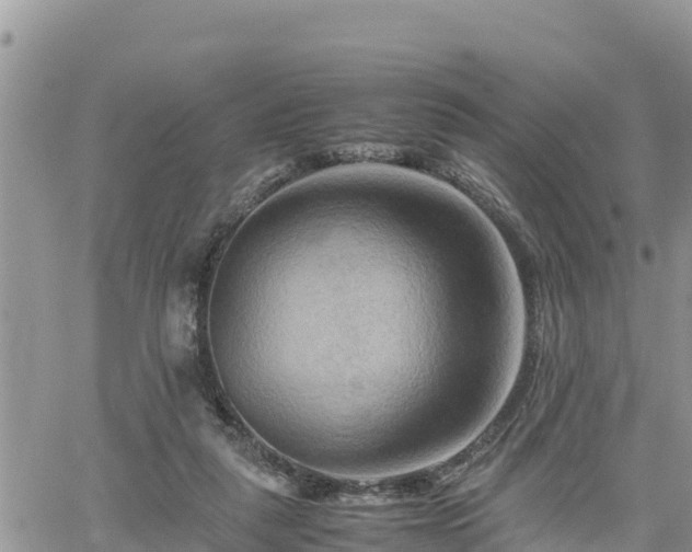 X0000062170259200512121248