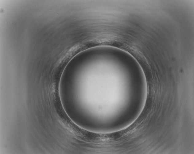 X0000062170260200512121248