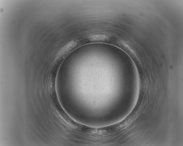 X0000062170261200512121248