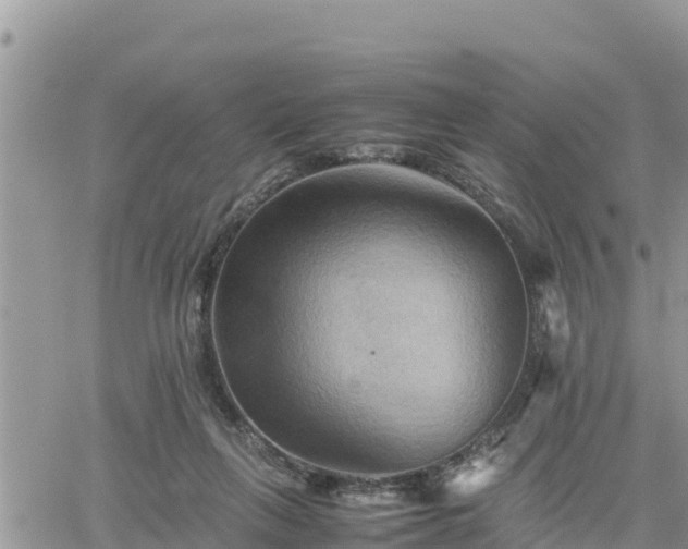 X0000062170263200512121248