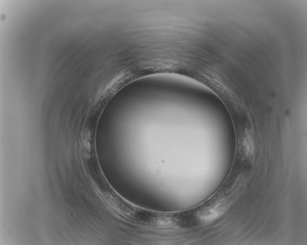 X0000062170264200512121248