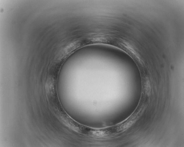 X0000062170265200512121248