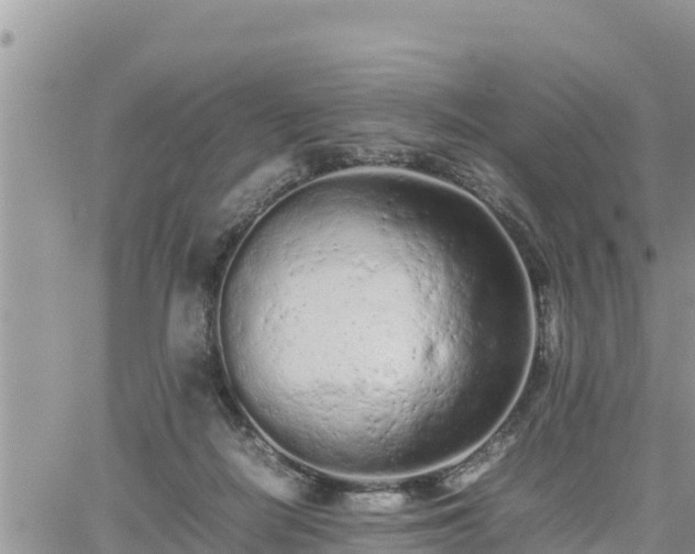 X0000062170266200512121248