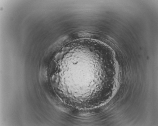 X0000062170267200512121248