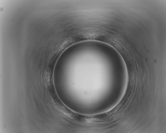 X0000062170268200512121248