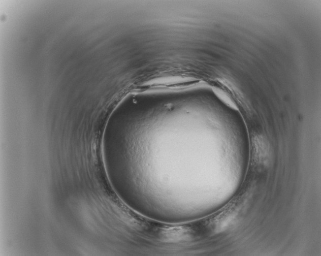 X0000062170269200512121248