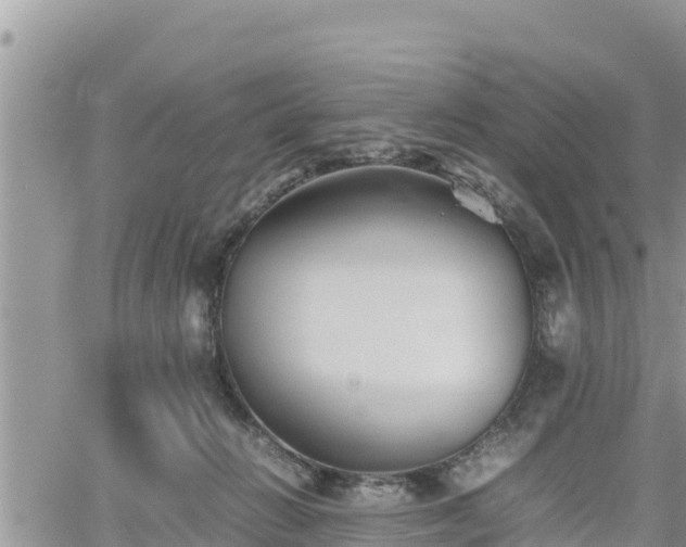 X0000062170270200512121248