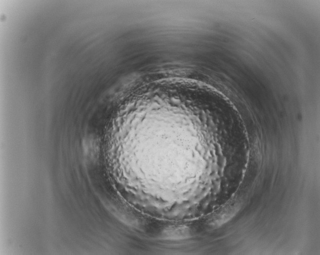 X0000062170271200512121248