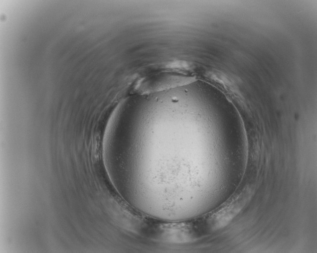 X0000062170273200512121248