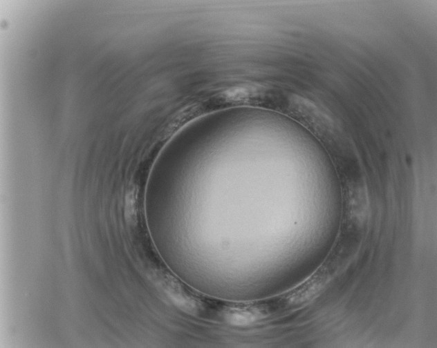 X0000062170275200512121248