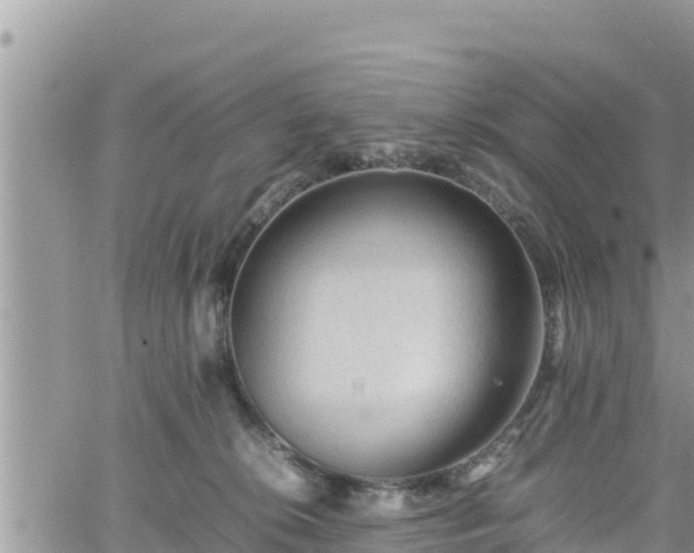 X0000062170276200512121248