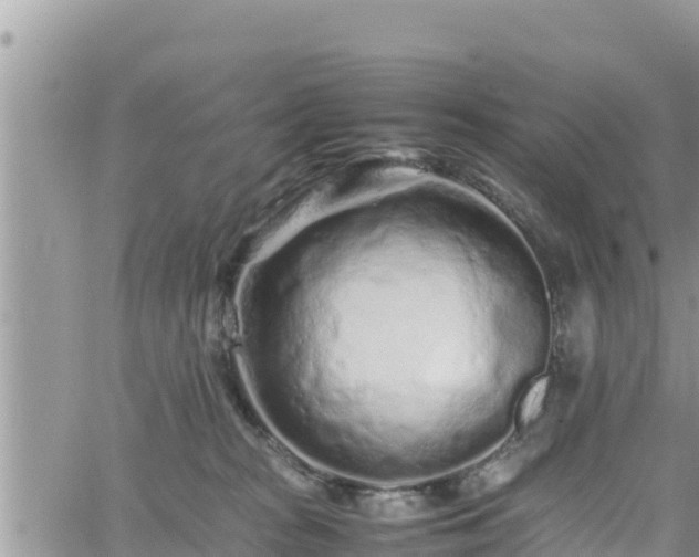 X0000062170277200512121248