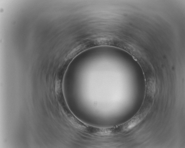 X0000062170278200512121248