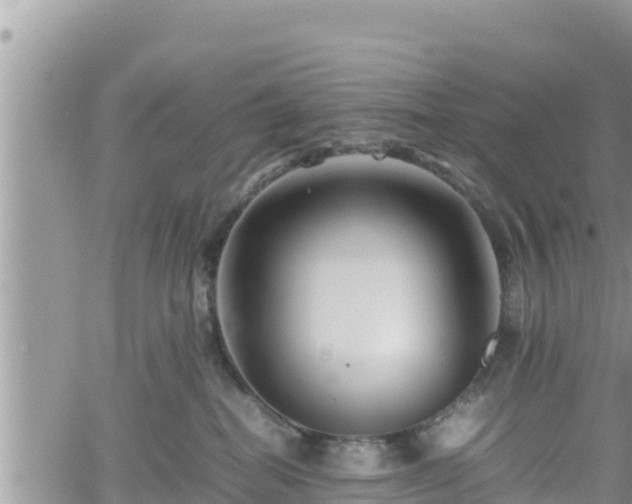 X0000062170282200512121248