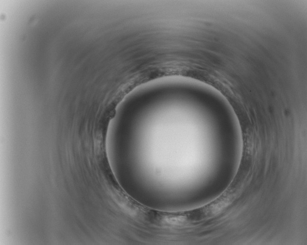 X0000062170283200512121248