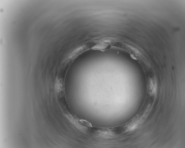 X0000062170284200512121248