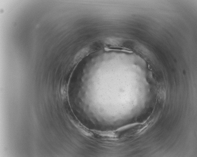 X0000062170285200512121248