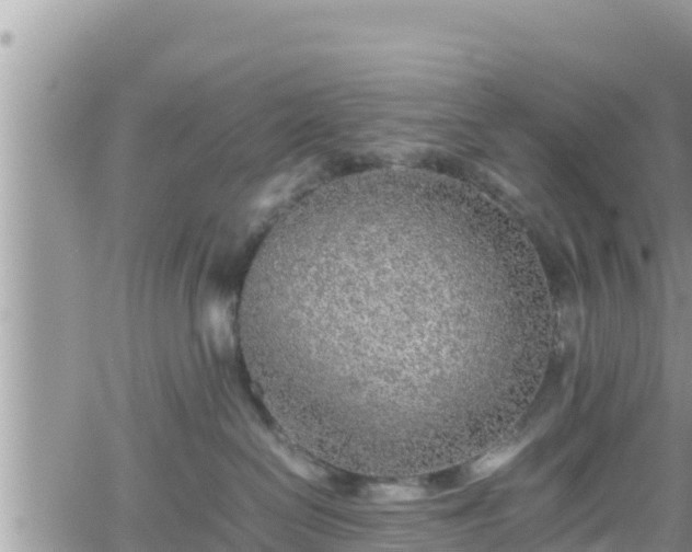 X0000062170286200512121248