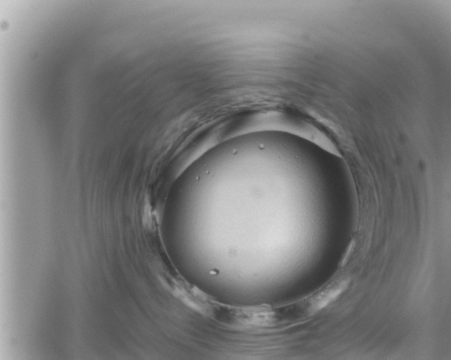 X0000062170288200512121248