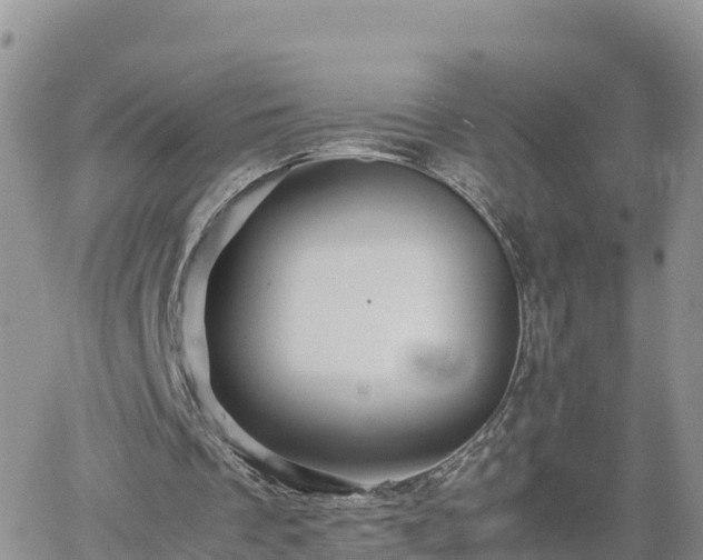 X0000062170289200512121247