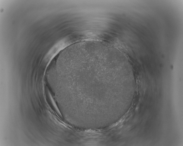 X0000062170290200512121247