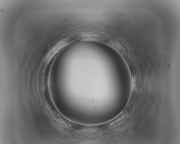 X0000062170291200512121247