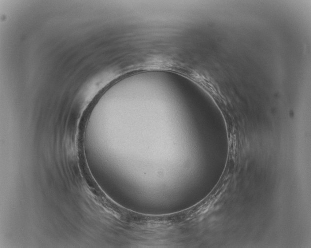 X0000062170292200512121247