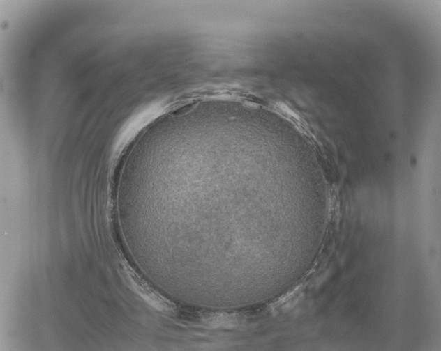 X0000062170293200512121247