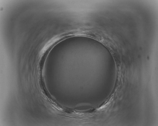 X0000062170295200512121247