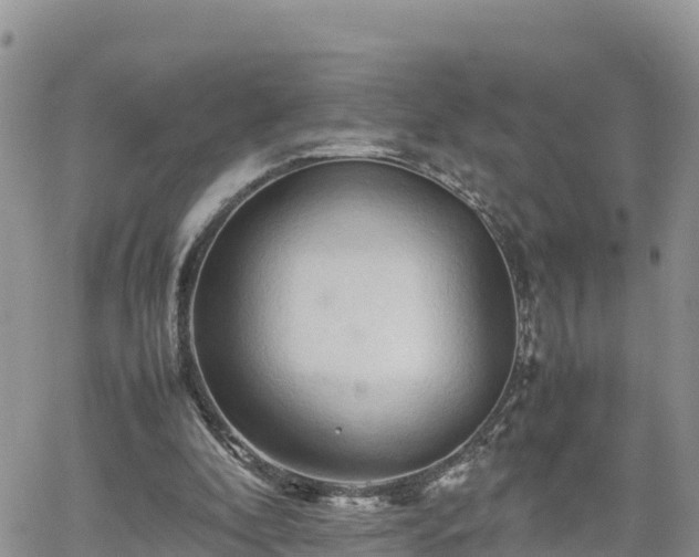 X0000062170296200512121247