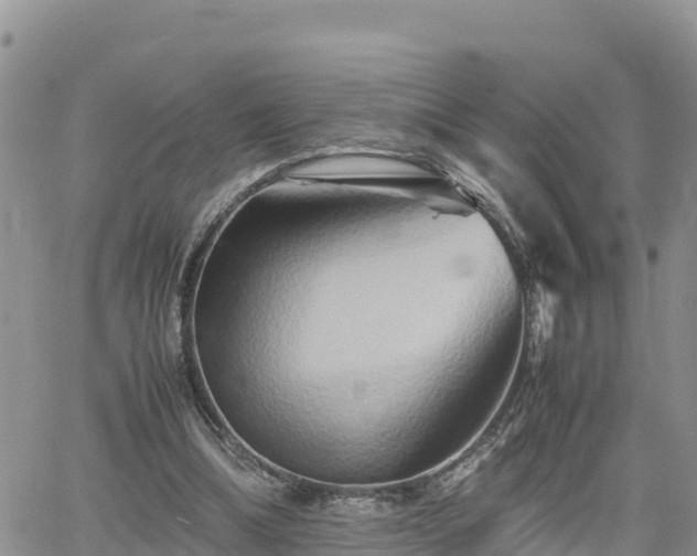 X0000062170298200512121247