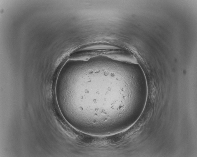 X0000062170299200512121247