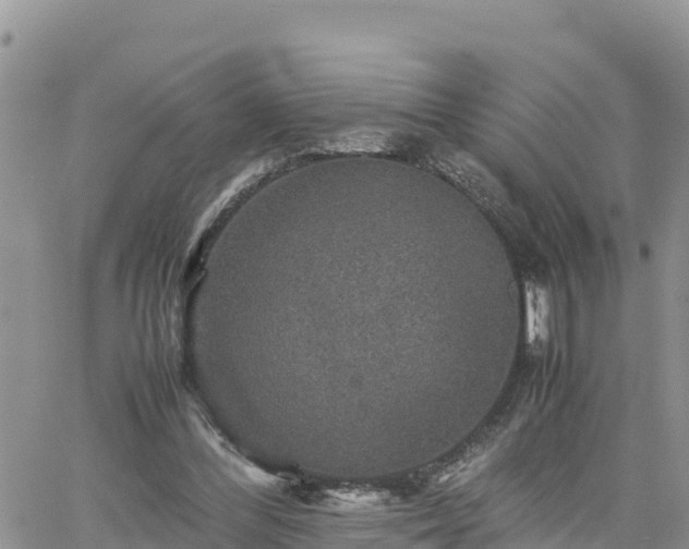 X0000062170300200512121247