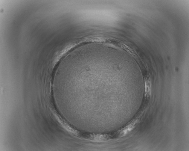 X0000062170301200512121247