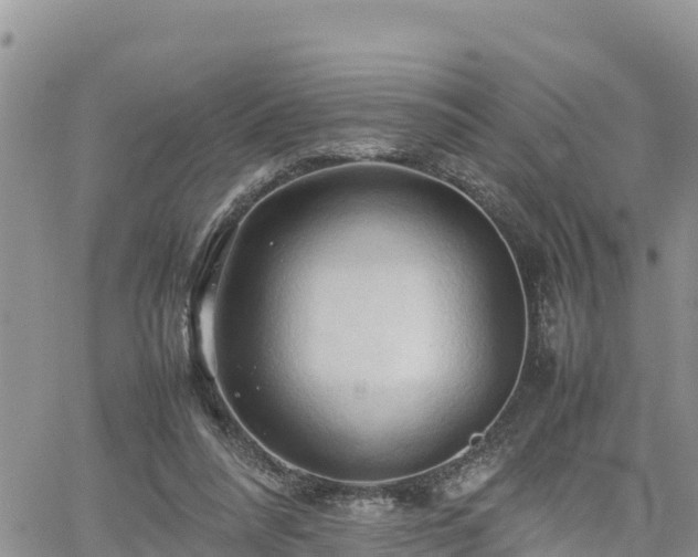 X0000062170304200512121247