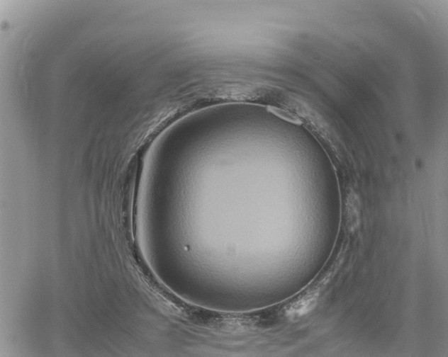 X0000062170305200512121247