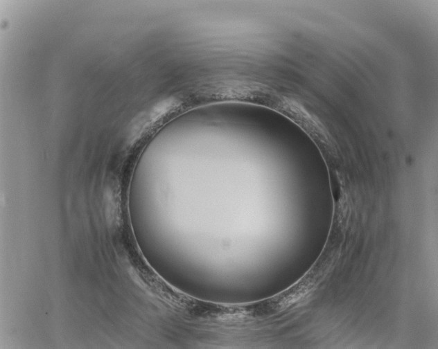 X0000062170306200512121247